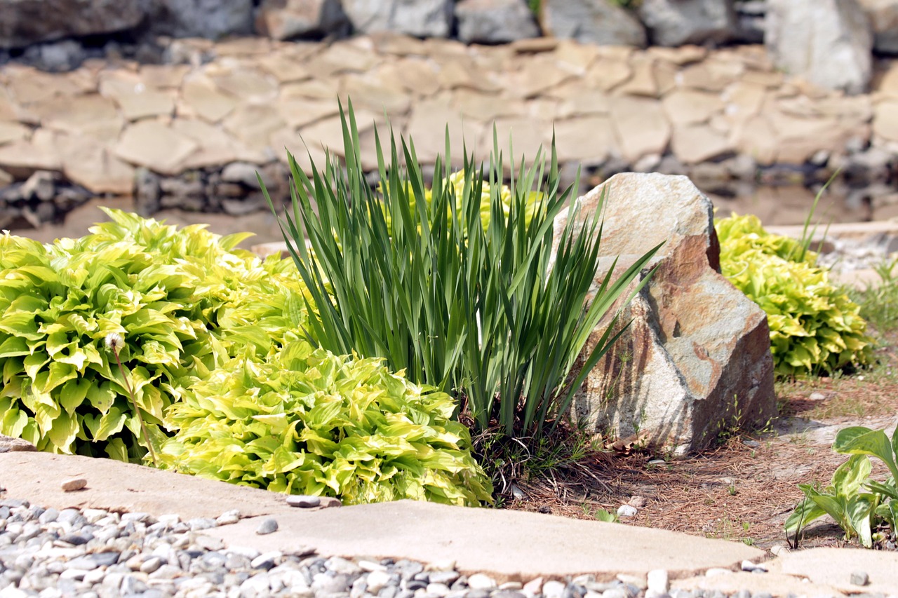 Designed and installed landscape garden